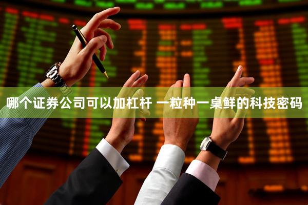 哪个证券公司可以加杠杆 一粒种一桌鲜的科技密码