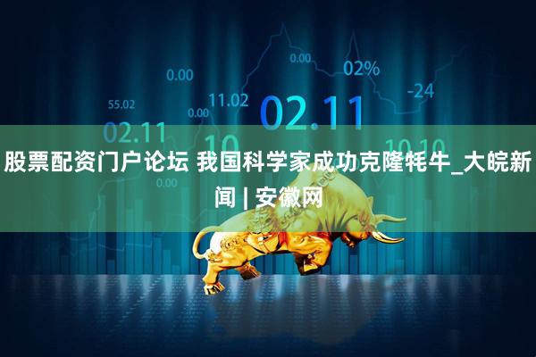 股票配资门户论坛 我国科学家成功克隆牦牛_大皖新闻 | 安徽网