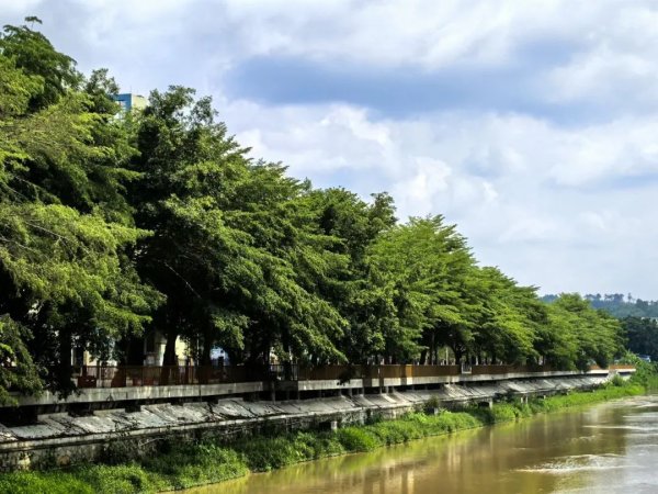 哪个证券公司可以加杠杆 广宁南街河焕新！5.7公里滨水长廊即将上线，这些彩蛋提前透漏