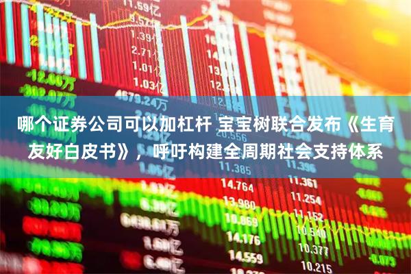 哪个证券公司可以加杠杆 宝宝树联合发布《生育友好白皮书》，呼吁构建全周期社会支持体系