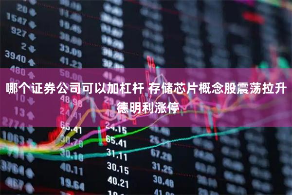 哪个证券公司可以加杠杆 存储芯片概念股震荡拉升 德明利涨停